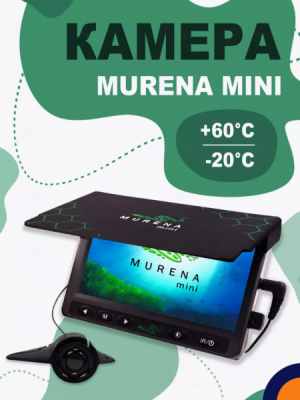 мурена